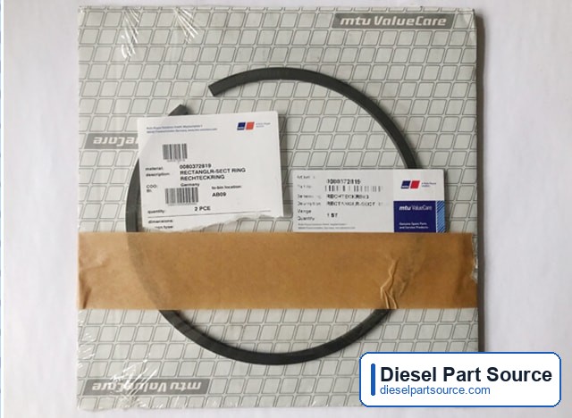 MTU 595 Parts | 0080372819 | RECTANGLR-SECT RING