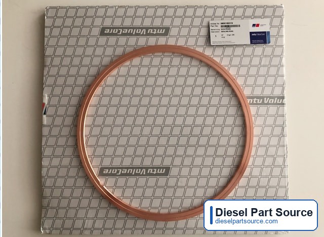 MTU 1163 Parts | 5800162319 | SEALING RING